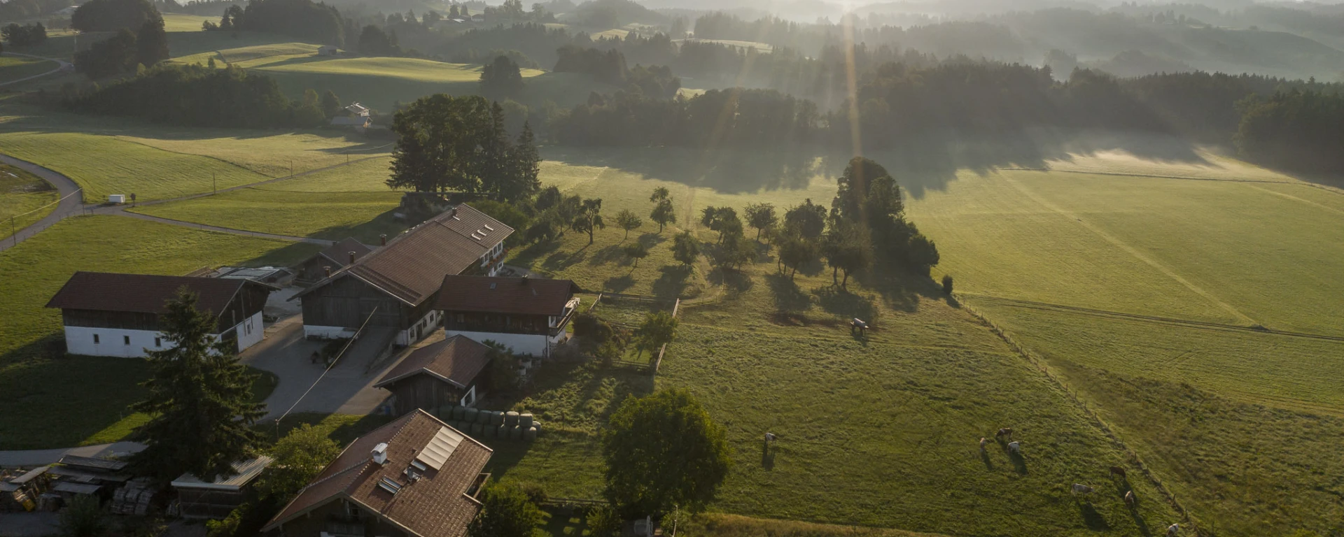 Moarwirt summer 2020 aerial 8020