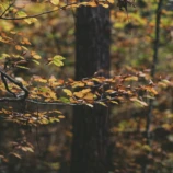 Moarhof dietramszell 1111
